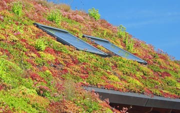 Somersham living roof systems